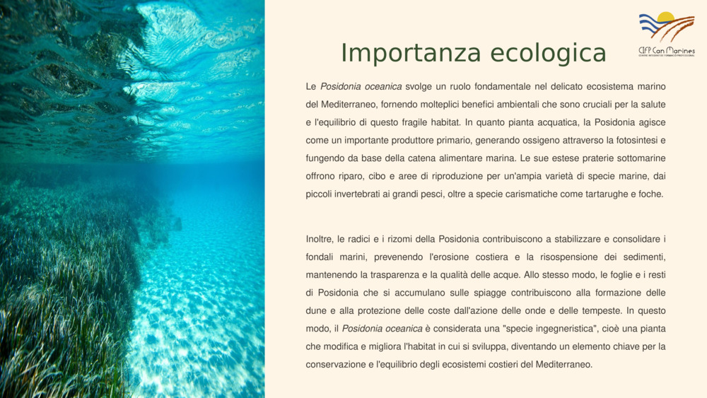 Importanza ecologica