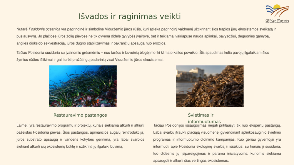 Įvadas į Posidonia oceanica