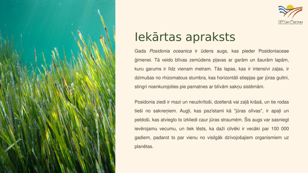 Iekārtas apraksts