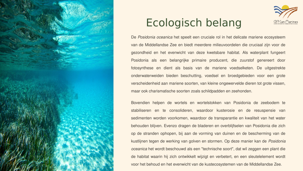 Ecologisch belang