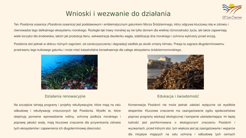 Wprowadzenie do Posidonia oceanica