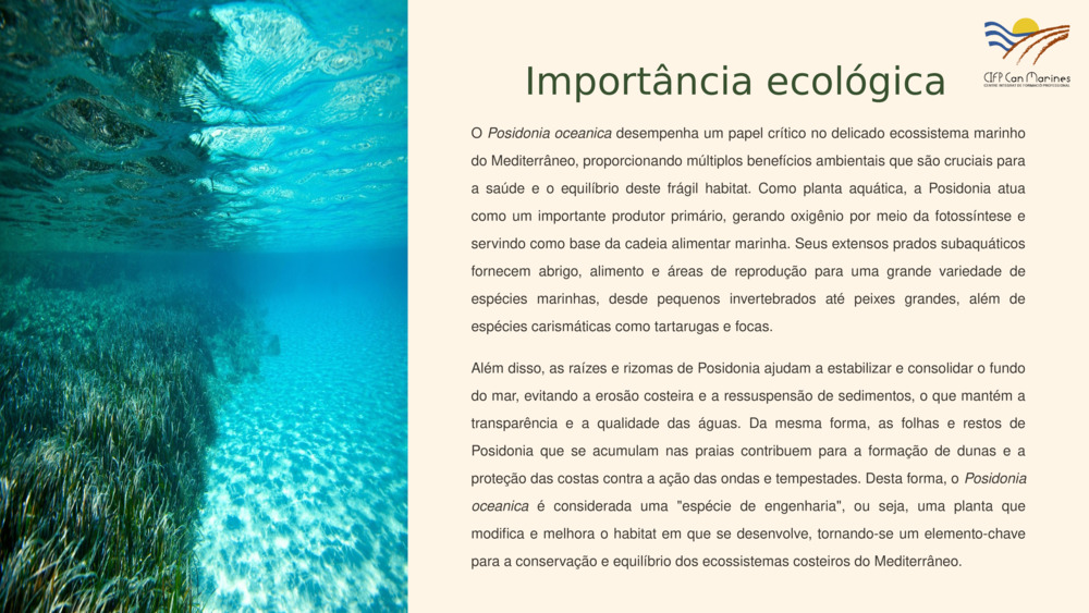 Importância ecológica