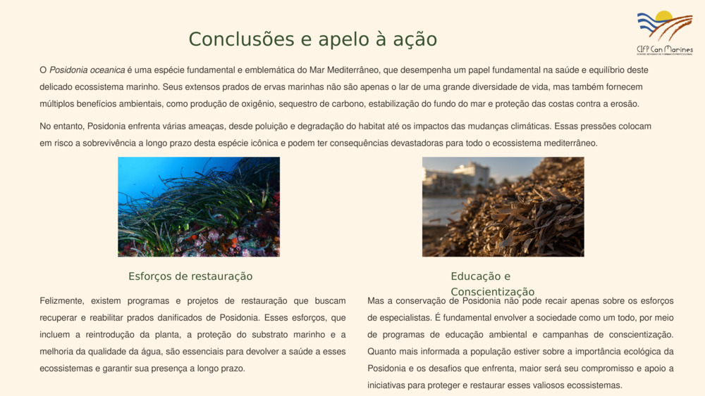 Introdução à Posidonia oceanica