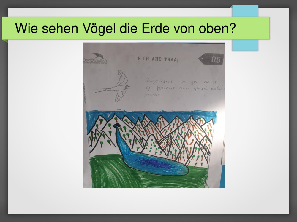 Wie sehen Vögel die Erde von oben?