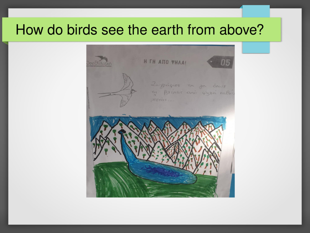 How do birds see the earth from above?