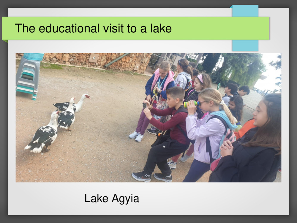 The educational visit to a lake