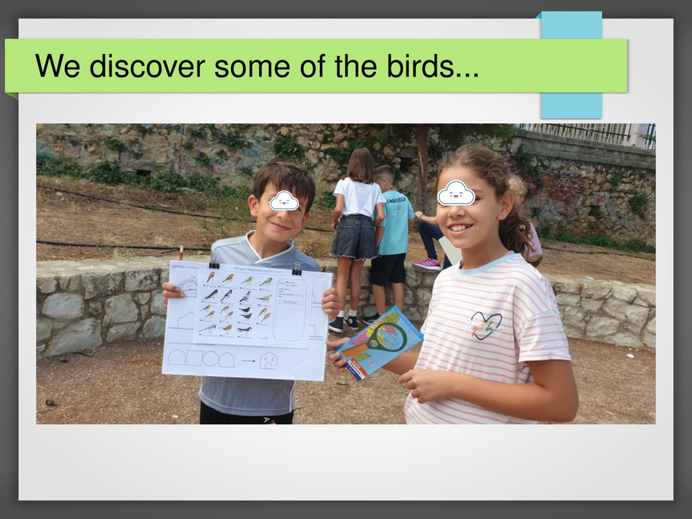 We discover some of the birds...