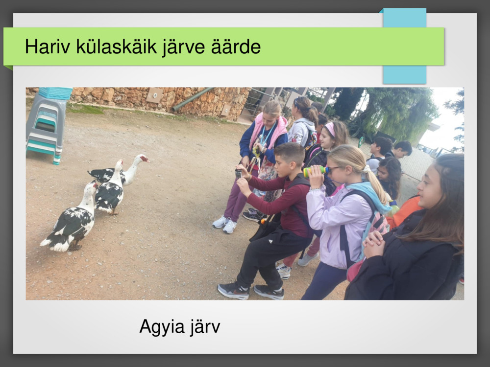 Hariv külaskäik järve äärde