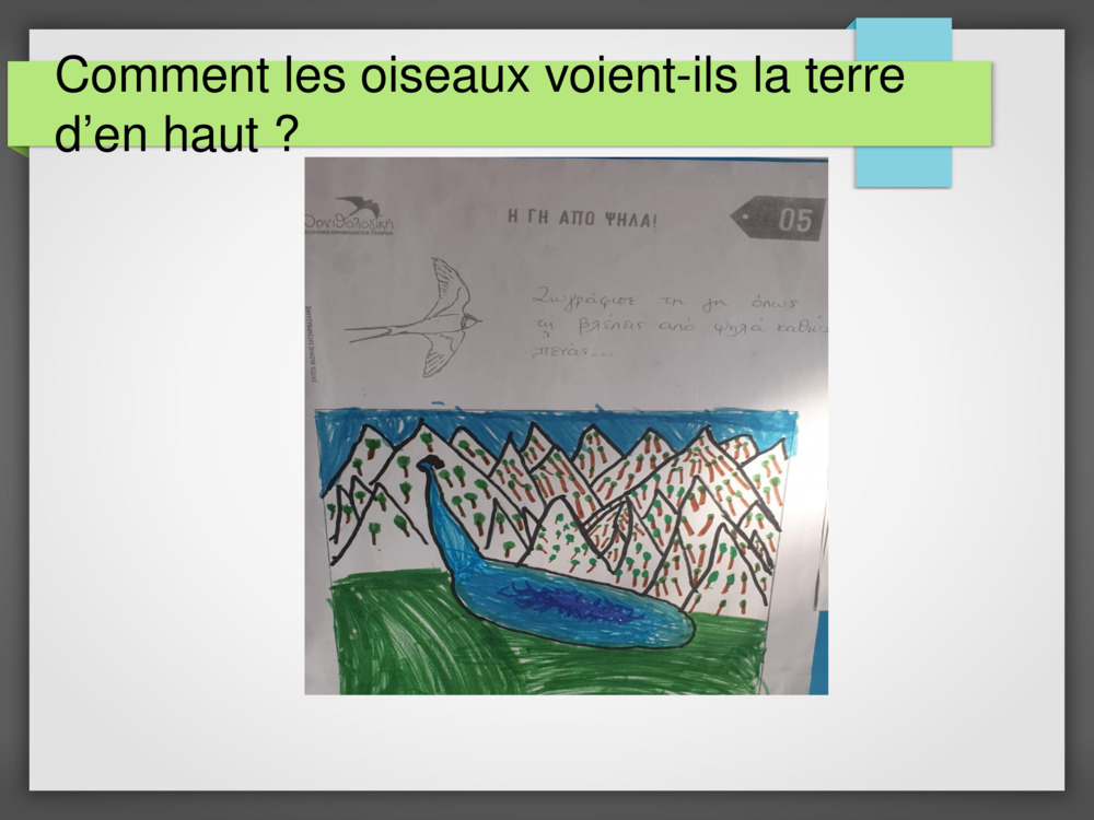 Comment les oiseaux voient-ils la terre d’en haut ?