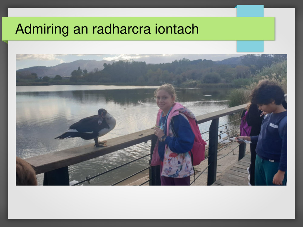 Admiring an radharcra iontach