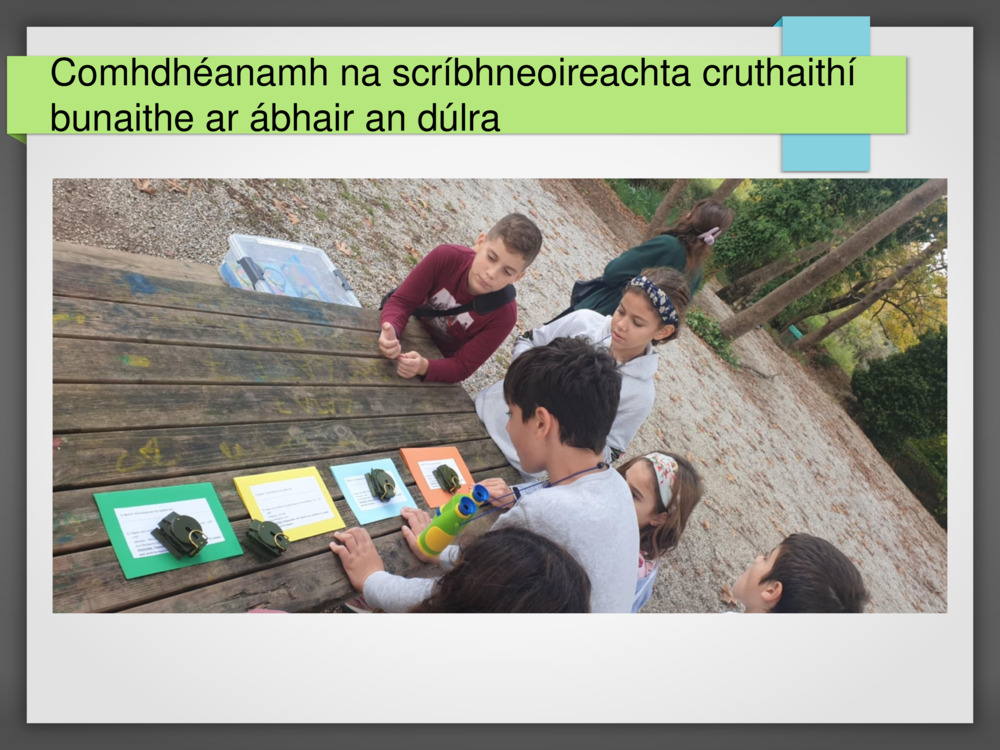 Comhdhéanamh na scríbhneoireachta cruthaithí bunaithe ar ábhair an dúlra