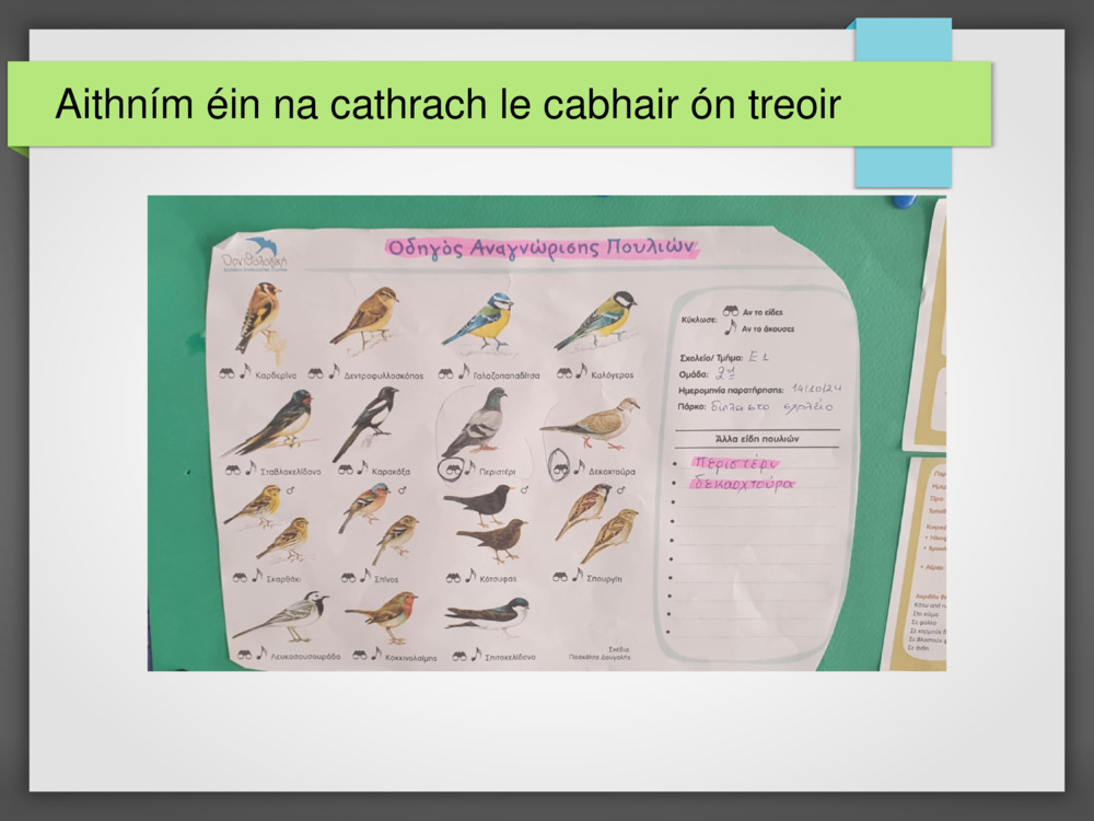 Aithním éin na cathrach le cabhair ón treoir