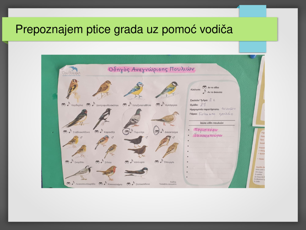 Prepoznajem ptice grada uz pomoć vodiča