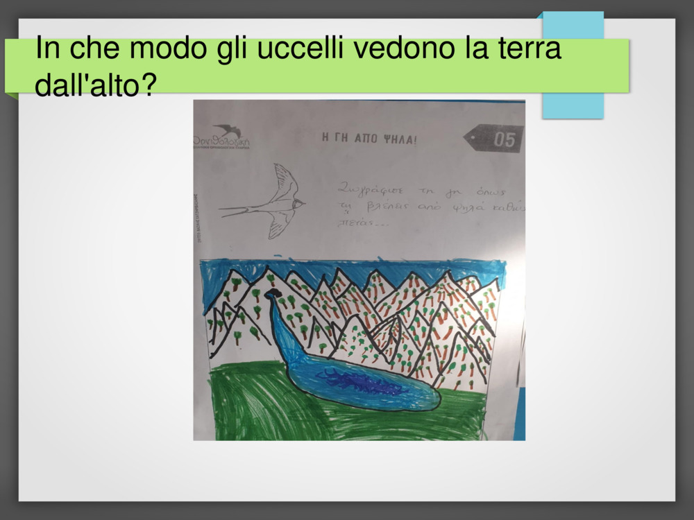 In che modo gli uccelli vedono la terra dall'alto?