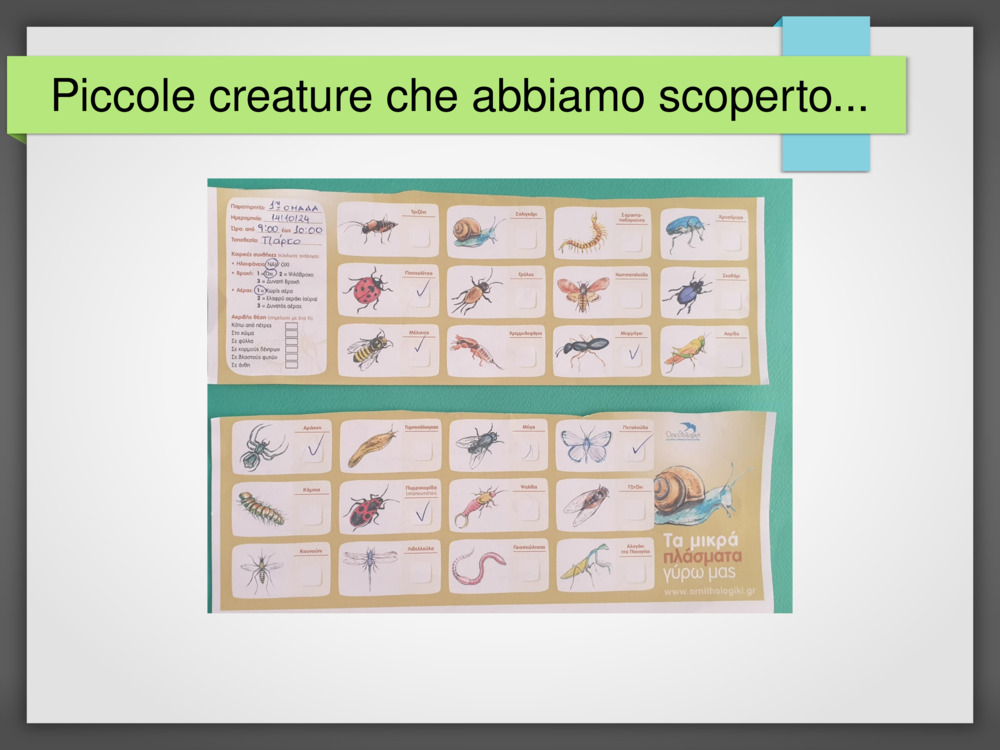 Piccole creature che abbiamo scoperto...