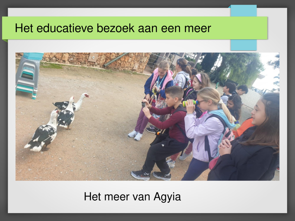 Het educatieve bezoek aan een meer