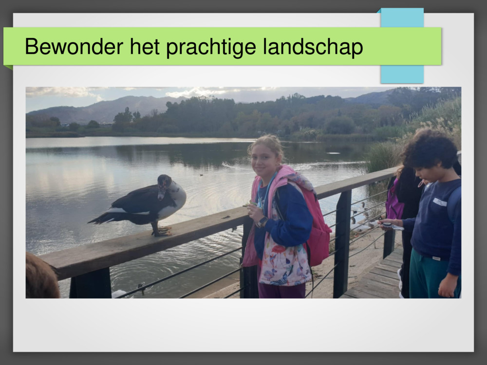 Bewonder het prachtige landschap