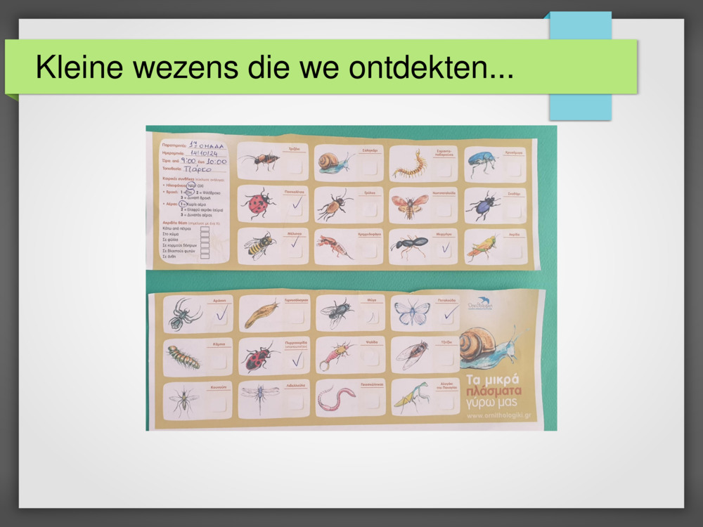 Kleine wezens die we ontdekten...