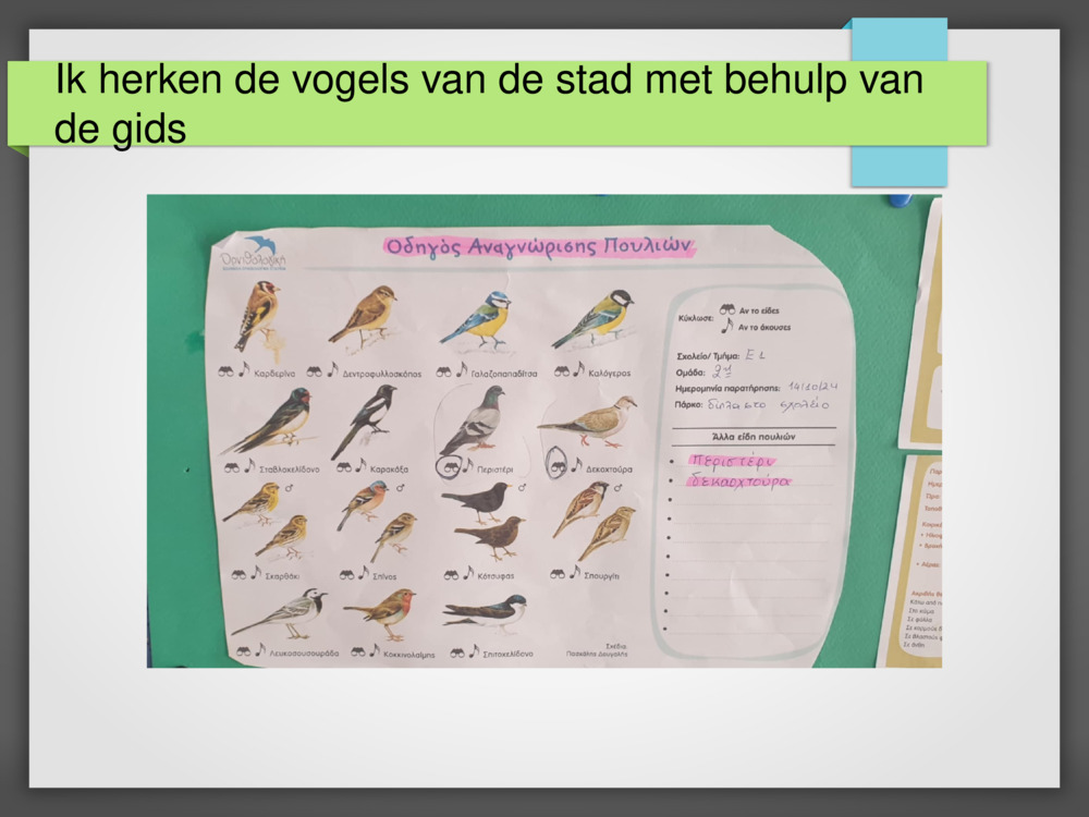 Ik herken de vogels van de stad met behulp van de gids