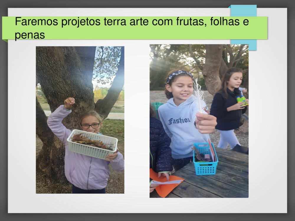 Faremos projetos 