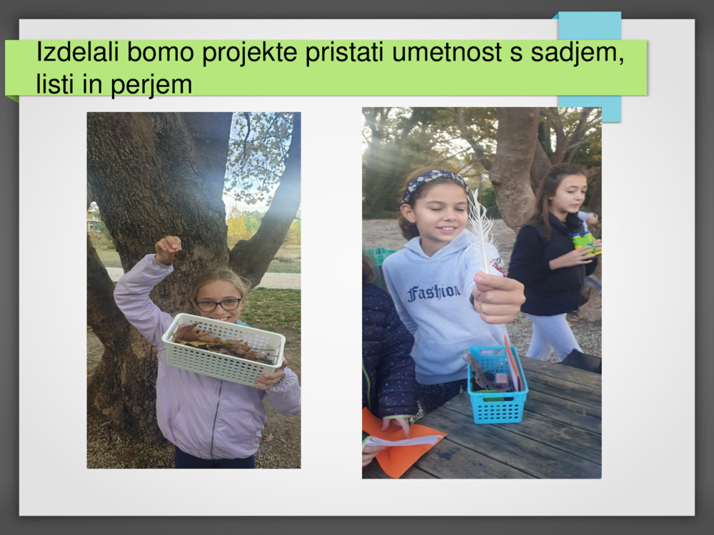 Izdelali bomo projekte 