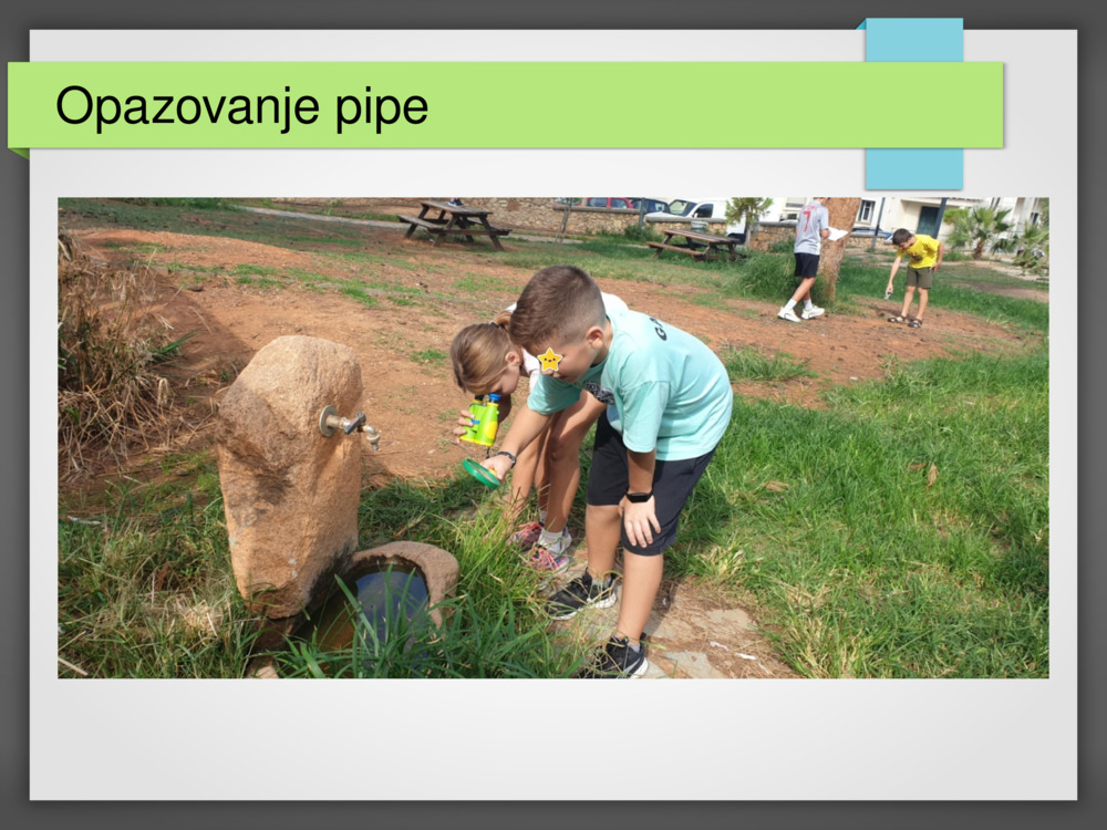 Opazovanje pipe