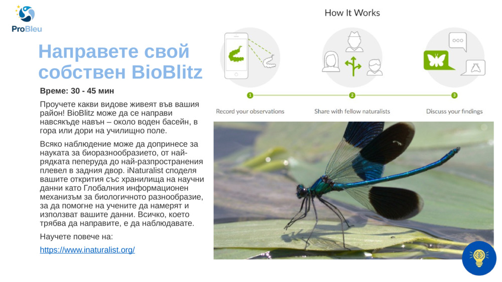 Направете свой собствен BioBlitz!