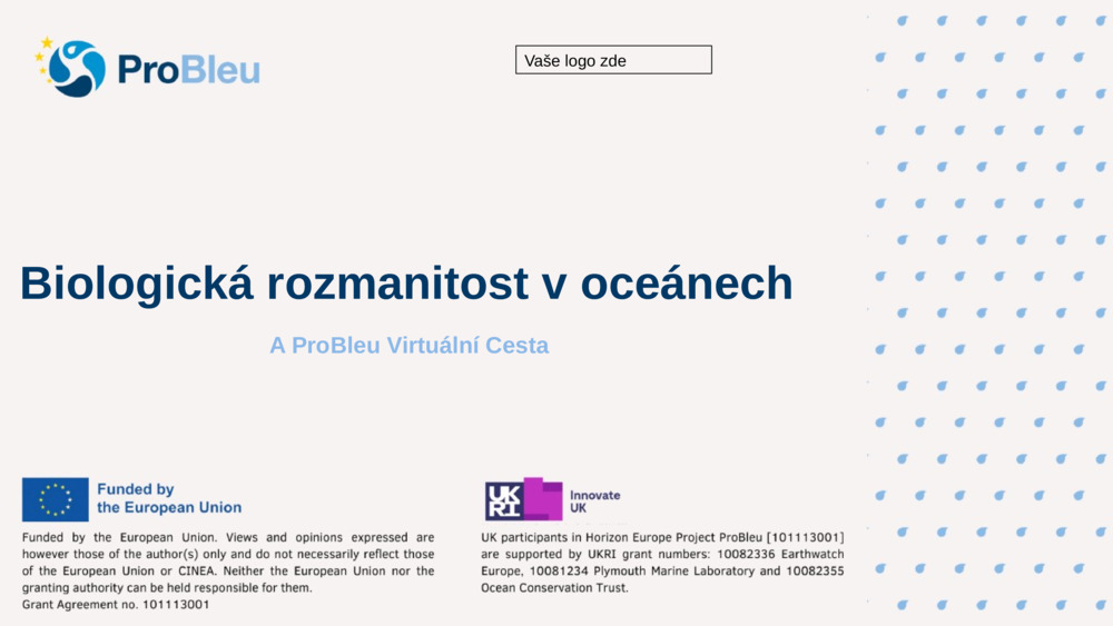 Biologická rozmanitost v oceánech