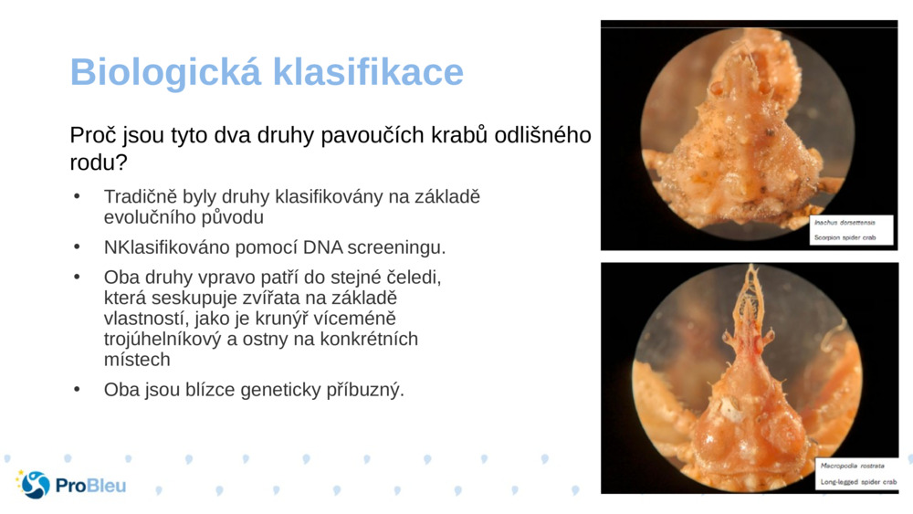 Biologická klasifikace 