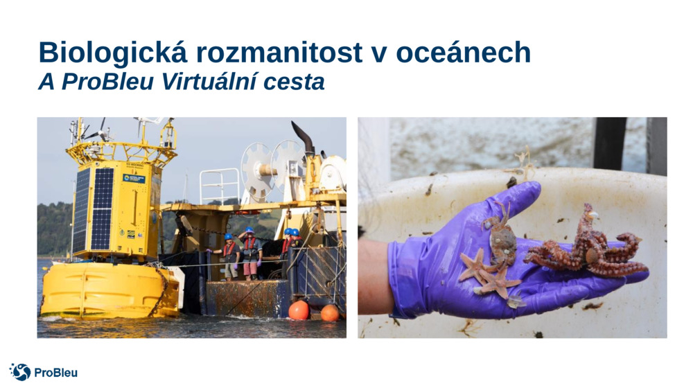 Biologická rozmanitost v oceánech