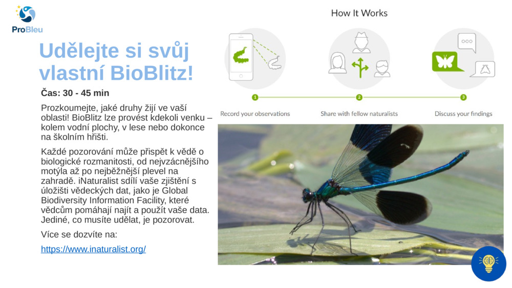 Udělejte si svůj vlastní BioBlitz!