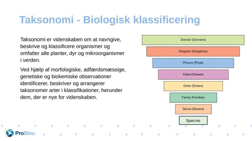 Taksonomi er videnskaben om at navngive, beskrive og klassificere organismer og omfatter alle planter, dyr og mikroorganismer i verden.