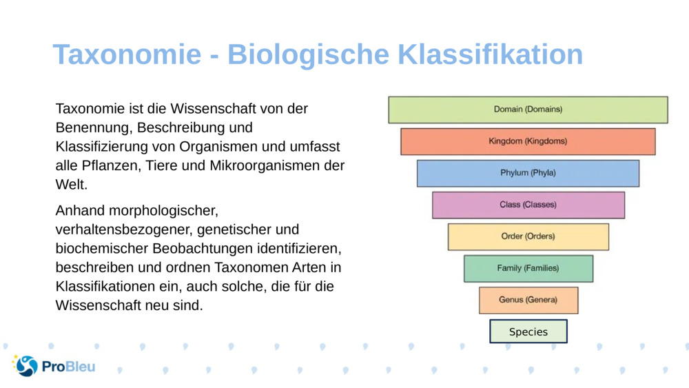 Taxonomie ist die Wissenschaft von der Benennung, Beschreibung und Klassifizierung von Organismen und umfasst alle Pflanzen, Tiere und Mikroorganismen der Welt.