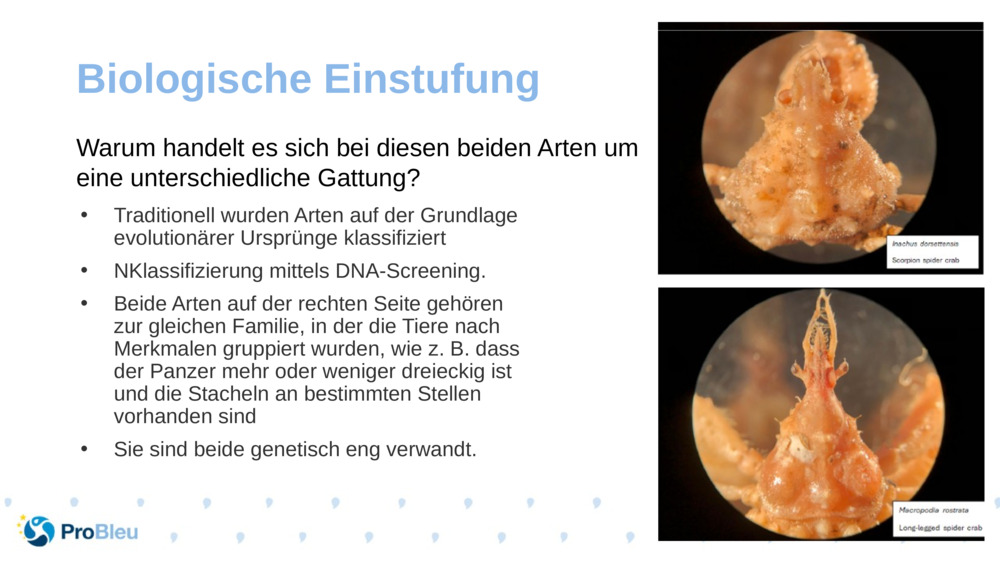 Biologische Einstufung 