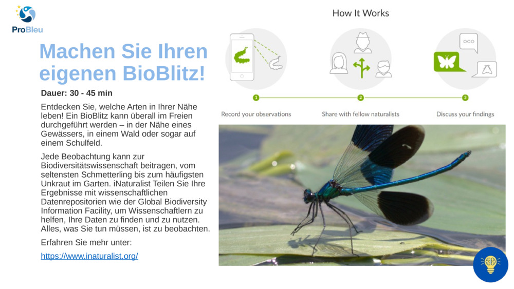 Machen Sie Ihren eigenen BioBlitz!