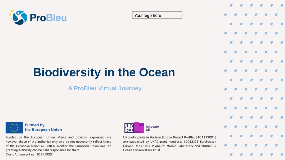 Biodiversity in the Ocean