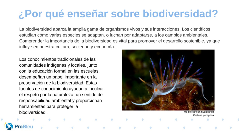 La biodiversidad abarca la amplia gama de organismos vivos y sus interacciones. Los científicos estudian cómo varias especies se adaptan, o luchan por adaptarse, a los cambios ambientales. Comprender la importancia de la biodiversidad es vital para promover el desarrollo sostenible, ya que influye en nuestra cultura, sociedad y economía.