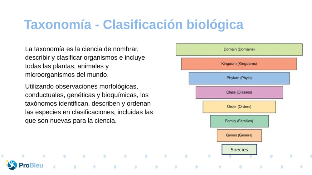 La taxonomía es la ciencia de nombrar, describir y clasificar organismos e incluye todas las plantas, animales y microorganismos del mundo.