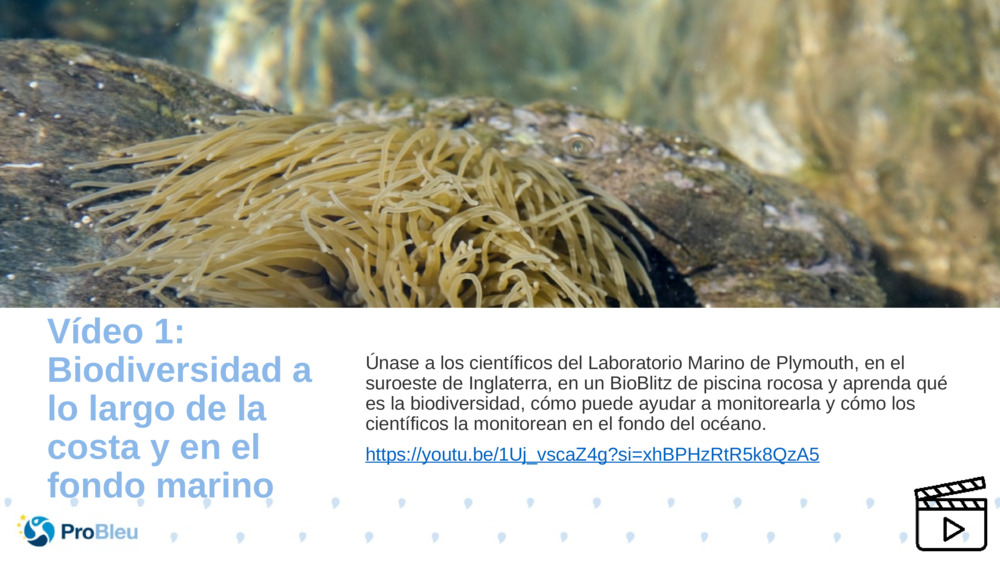 Vídeo 1: Biodiversidad a lo largo de la costa y en el fondo marino