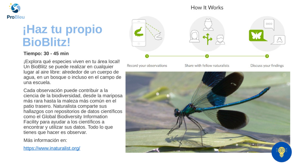 ¡Haz tu propio BioBlitz!