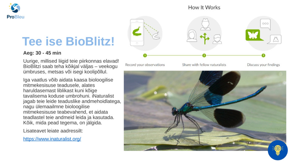 Tee ise BioBlitz!