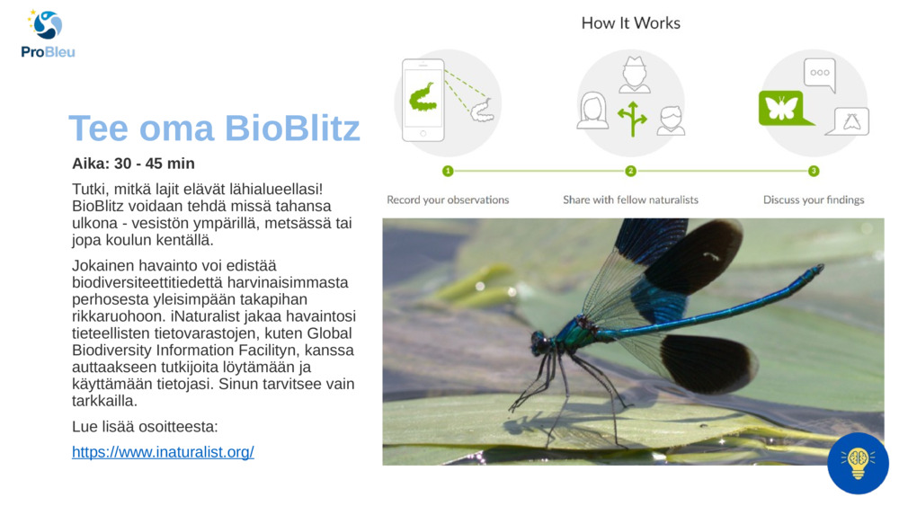 Tee oma BioBlitz!