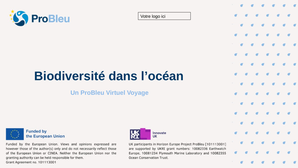 Biodiversité dans l’océan