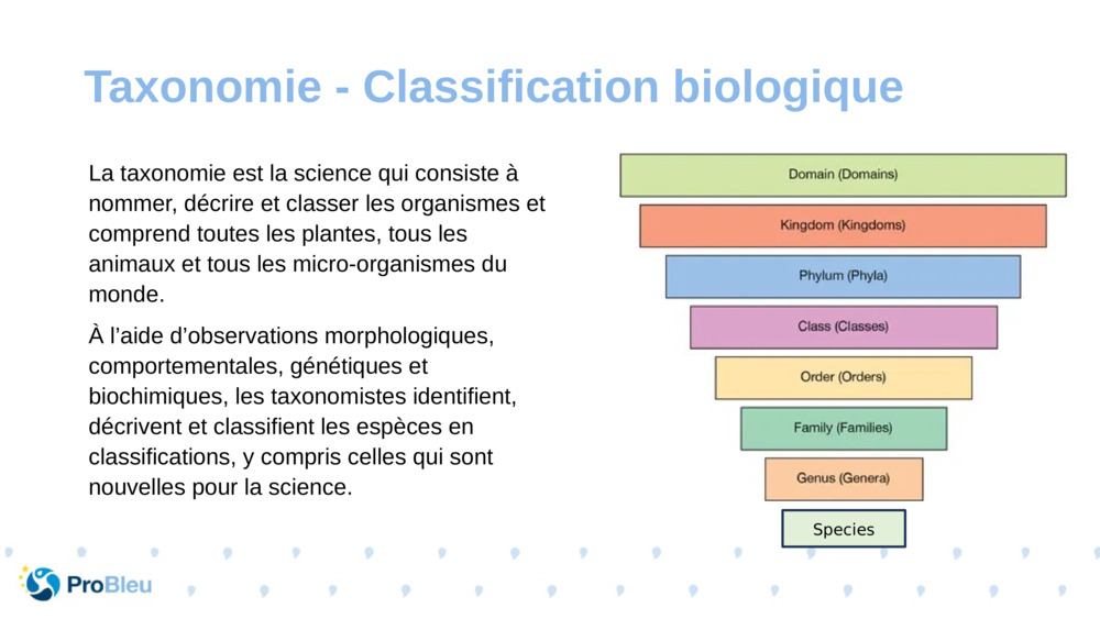 La taxonomie est la science qui consiste à nommer, décrire et classer les organismes et comprend toutes les plantes, tous les animaux et tous les micro-organismes du monde.