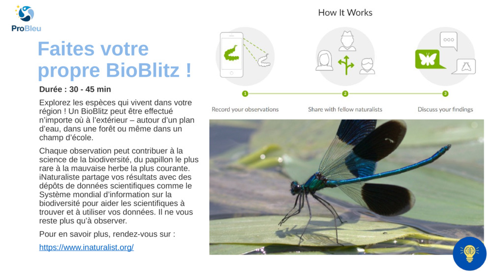 Faites votre propre BioBlitz !