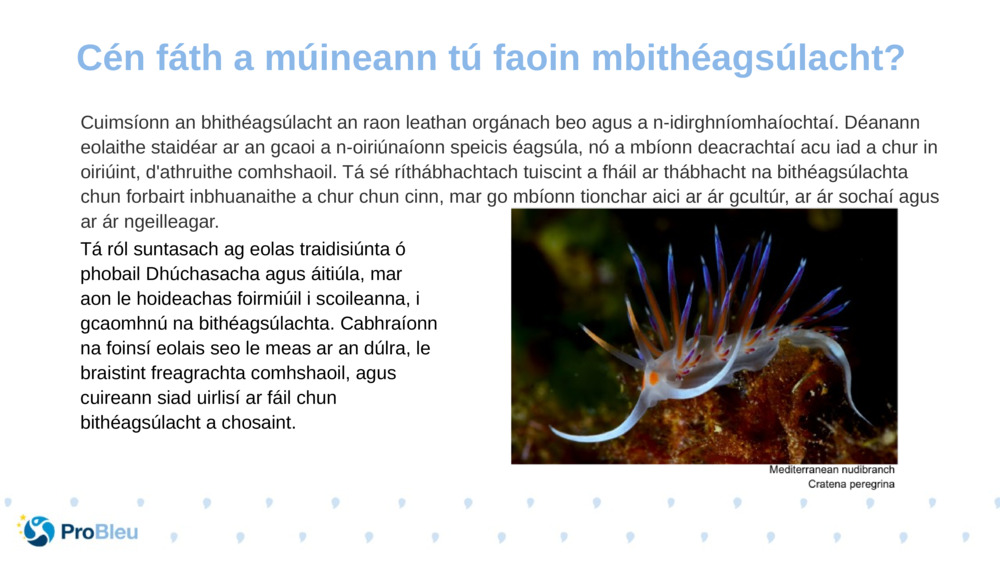 Cuimsíonn an bhithéagsúlacht an raon leathan orgánach beo agus a n-idirghníomhaíochtaí. Déanann eolaithe staidéar ar an gcaoi a n-oiriúnaíonn speicis éagsúla, nó a mbíonn deacrachtaí acu iad a chur in oiriúint, d'athruithe comhshaoil. Tá sé ríthábhachtach tuiscint a fháil ar thábhacht na bithéagsúlachta chun forbairt inbhuanaithe a chur chun cinn, mar go mbíonn tionchar aici ar ár gcultúr, ar ár sochaí agus ar ár ngeilleagar.