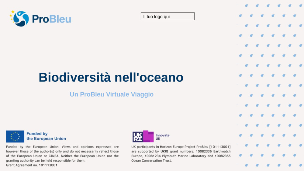 Biodiversità nell'oceano