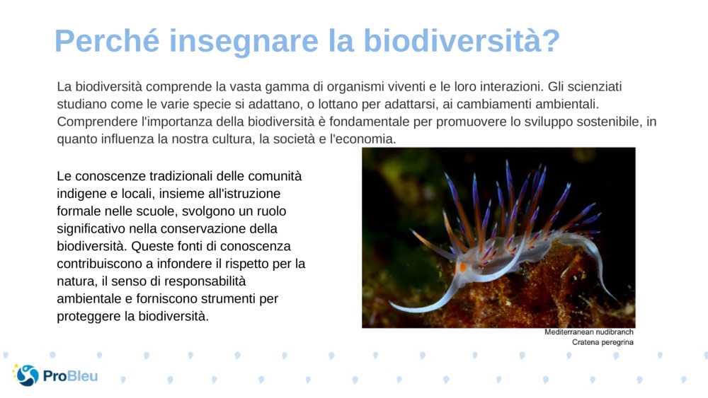 La biodiversità comprende la vasta gamma di organismi viventi e le loro interazioni. Gli scienziati studiano come le varie specie si adattano, o lottano per adattarsi, ai cambiamenti ambientali. Comprendere l'importanza della biodiversità è fondamentale per promuovere lo sviluppo sostenibile, in quanto influenza la nostra cultura, la società e l'economia.