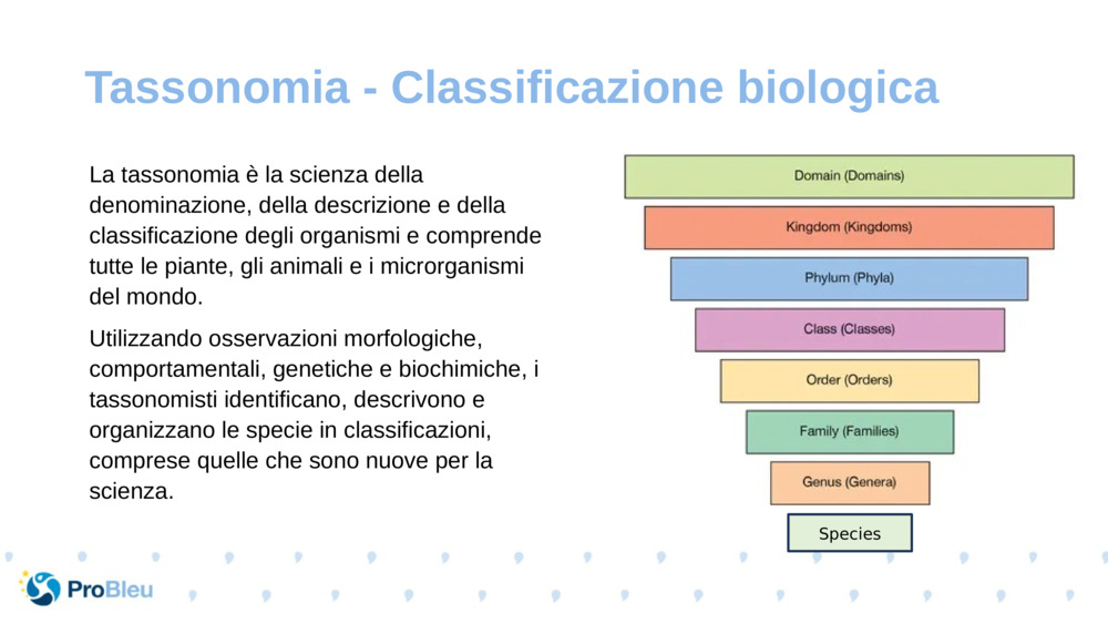 La tassonomia è la scienza della denominazione, della descrizione e della classificazione degli organismi e comprende tutte le piante, gli animali e i microrganismi del mondo.