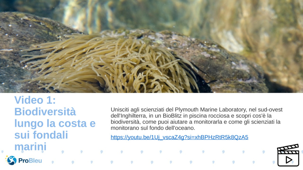 Video 1: Biodiversità lungo la costa e sui fondali marini